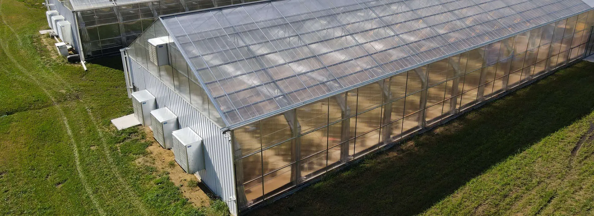 Black Greenhouse