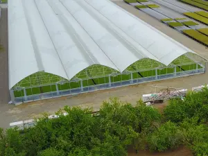 Stunning Gothic Type Greenhouse A Majestic Have...