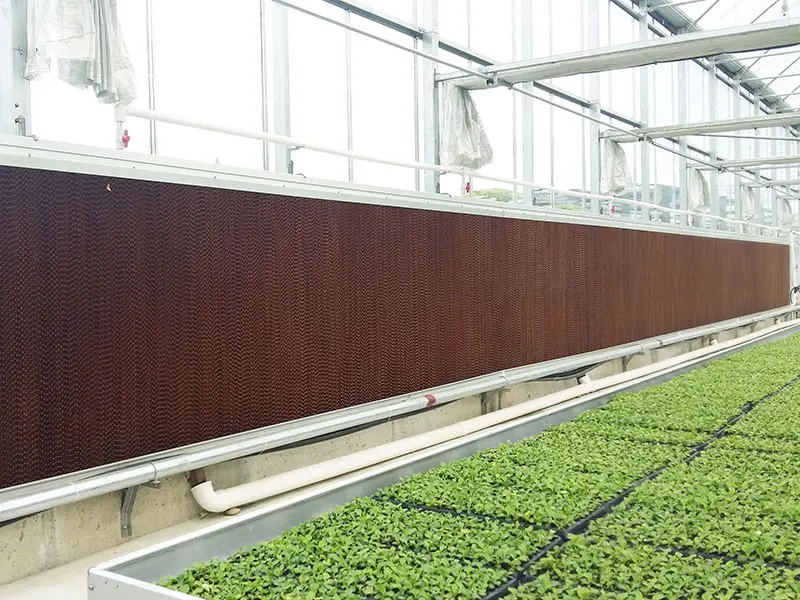 Greenhouse System