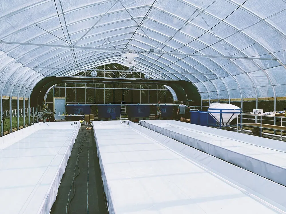Aquaponics3 (2)