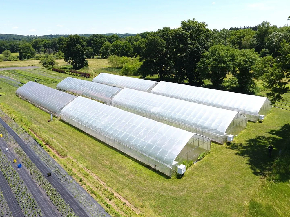 panda tunnel greenhouse (1)