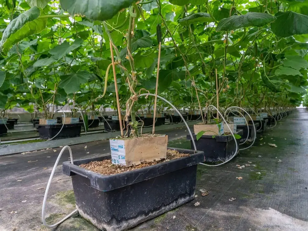 irrigation 2 (1)