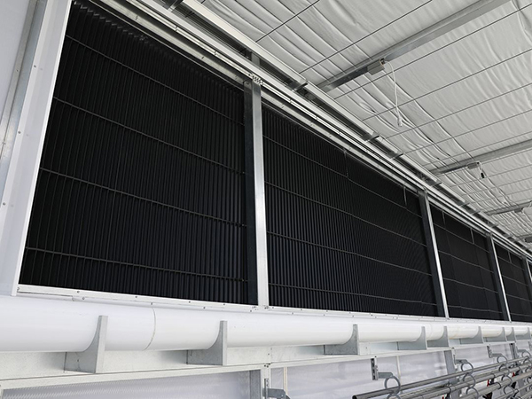 Light Deprivation Greenhouse Gutter Connected Multispan blackout systems for medical plants-246
