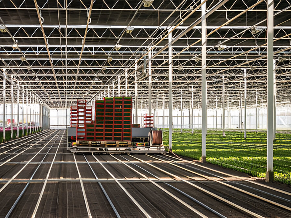 commercial greenhouse (2)