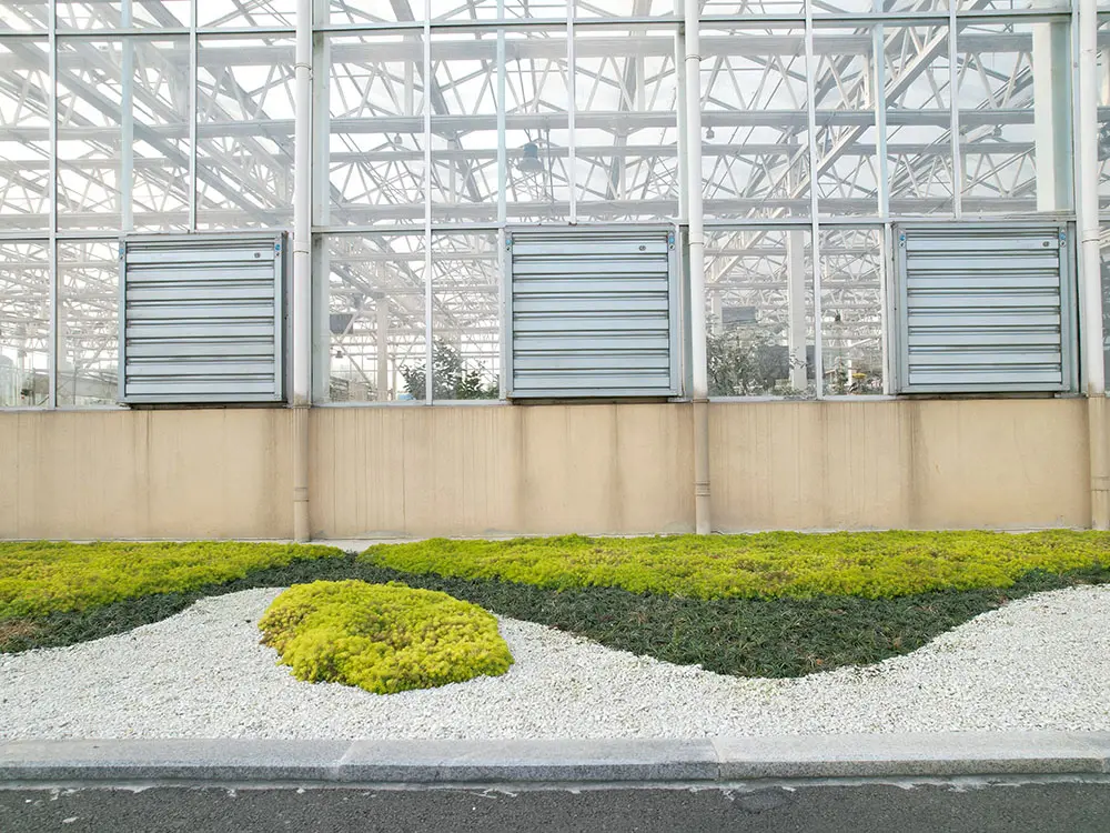 Modern Multi-Span Intelligent agricultural Glass Greenhouses 5