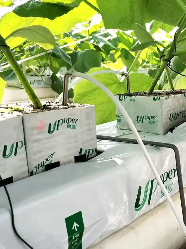 Irrigation System