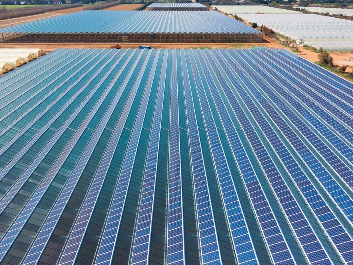 commercial greenhouse (7)