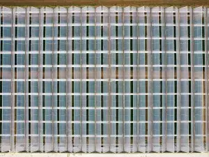 Fully Open Top Window, Film Covered Venlo Type ...