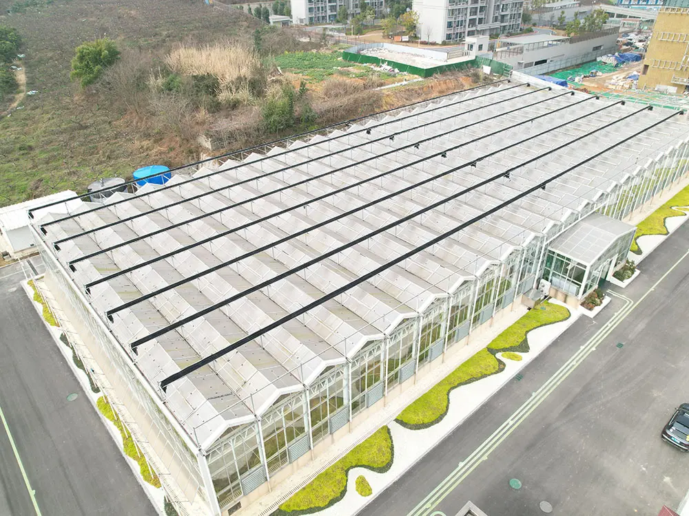 Modern Multi-Span Intelligent agricultural Glass Greenhouses 2