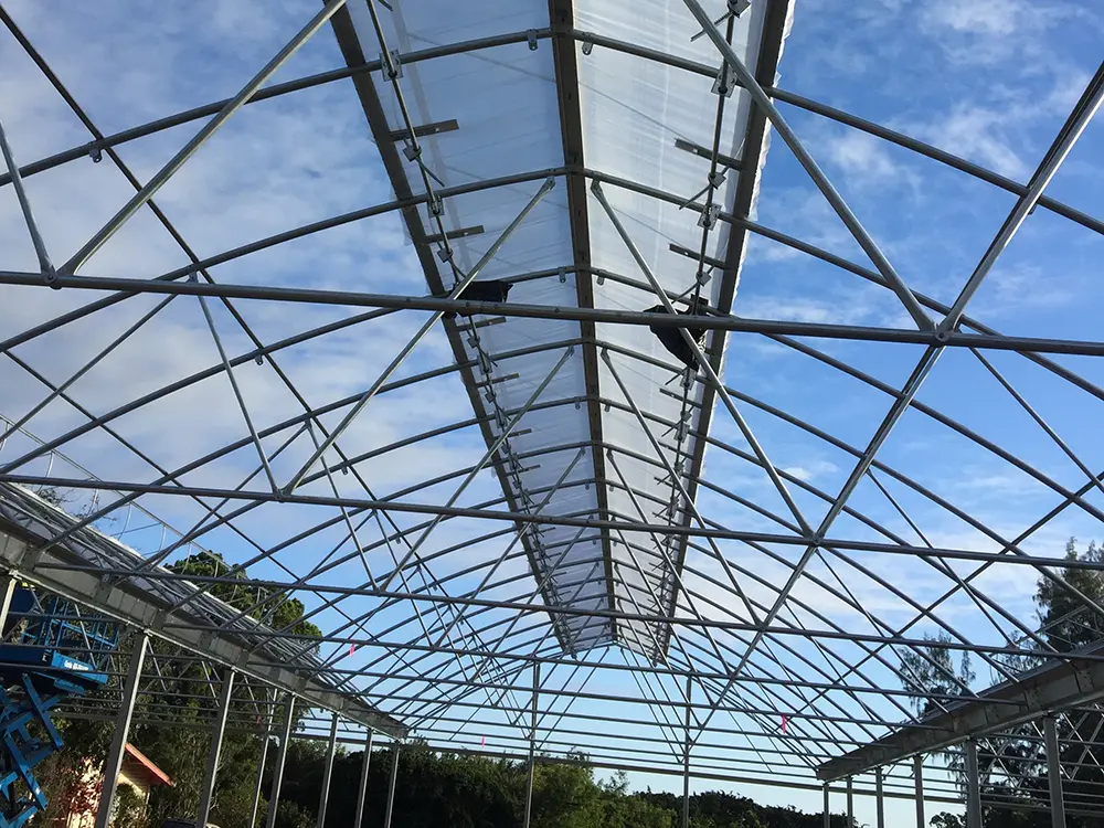 Stunning Gothic Type Greenhouse A Majestic Haven for Your Plants 4