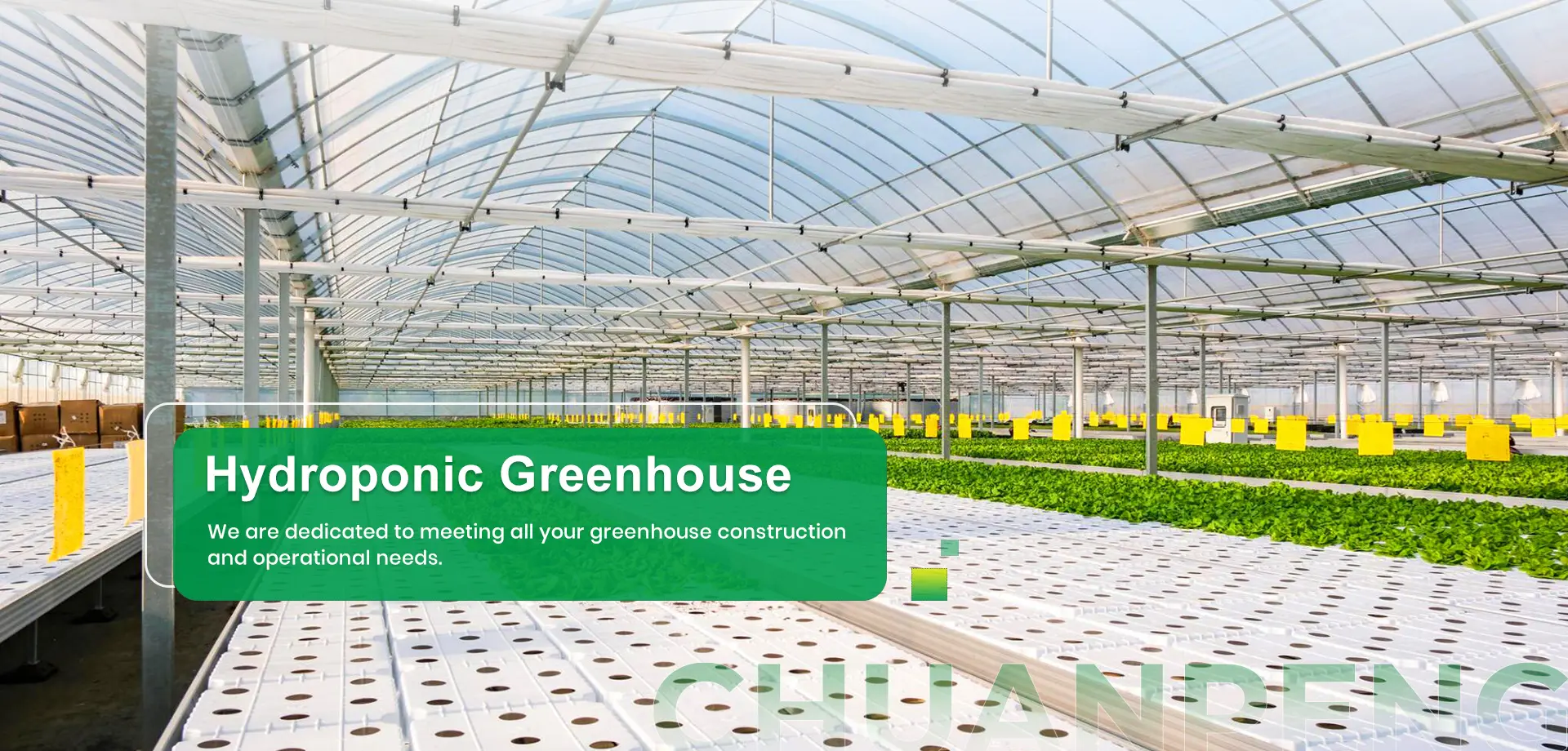 Hydroponic