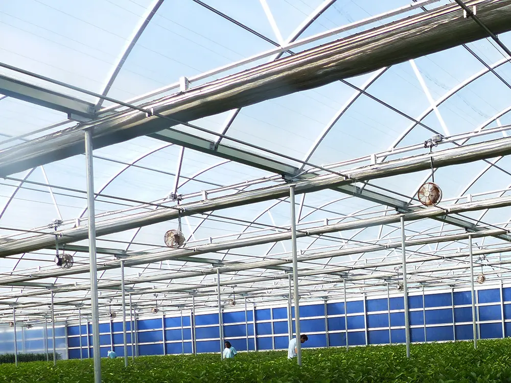 200 Micron UV Resistant Plastic Greenhouse PE/PO Film Cover Agricultural Breeding Greenhouse 3