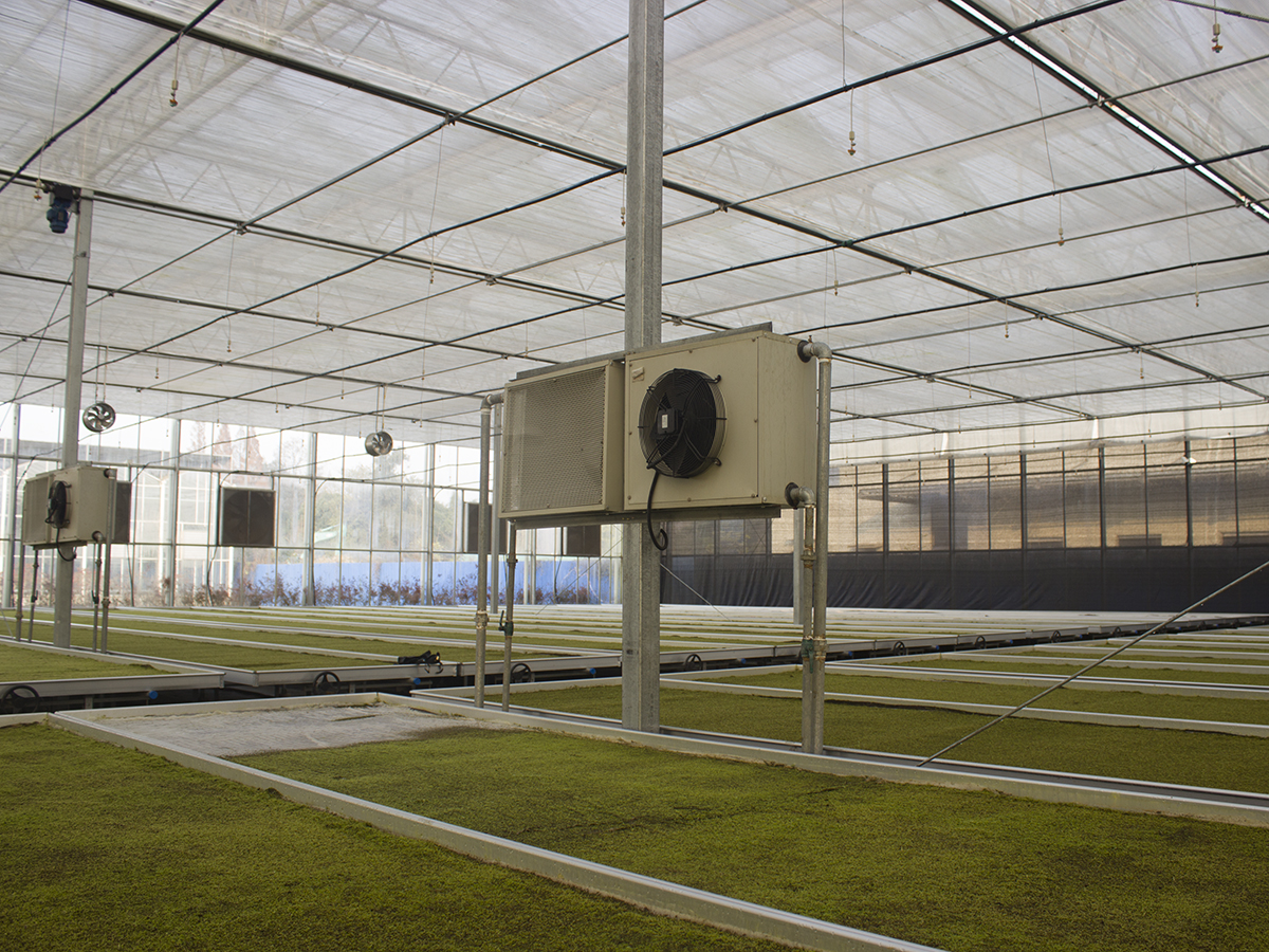 greenhouse system (1)