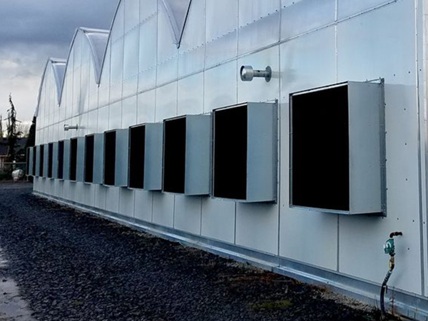 Light Deprivation Greenhouse Gutter Connected Multispan blackout systems for medical plants-784