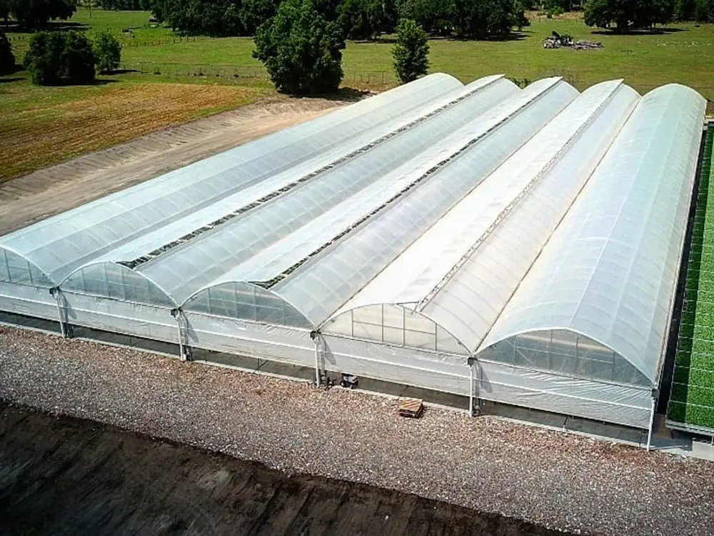 Stunning Gothic Type Greenhouse A Majestic Haven for Your Plants 6