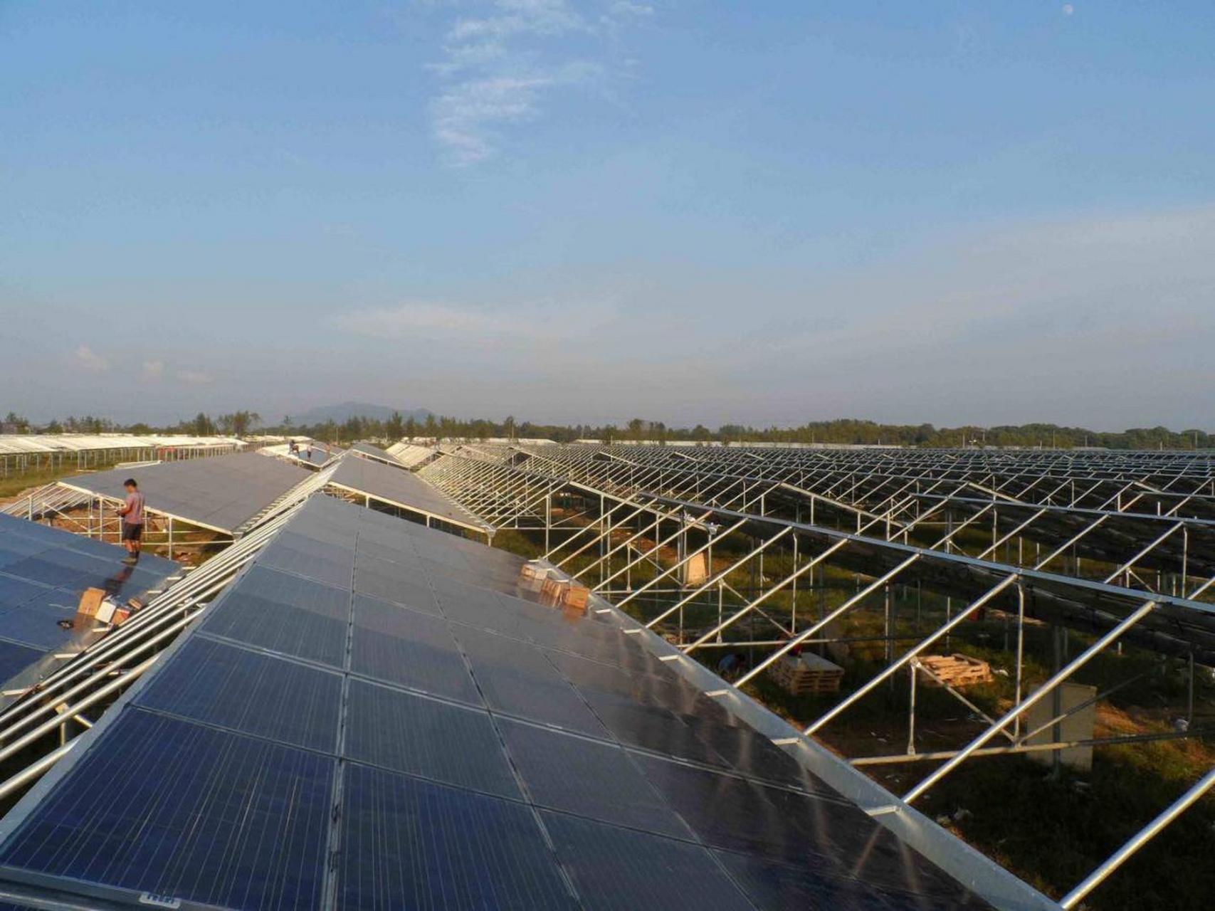 panda solar greenhouse (4)