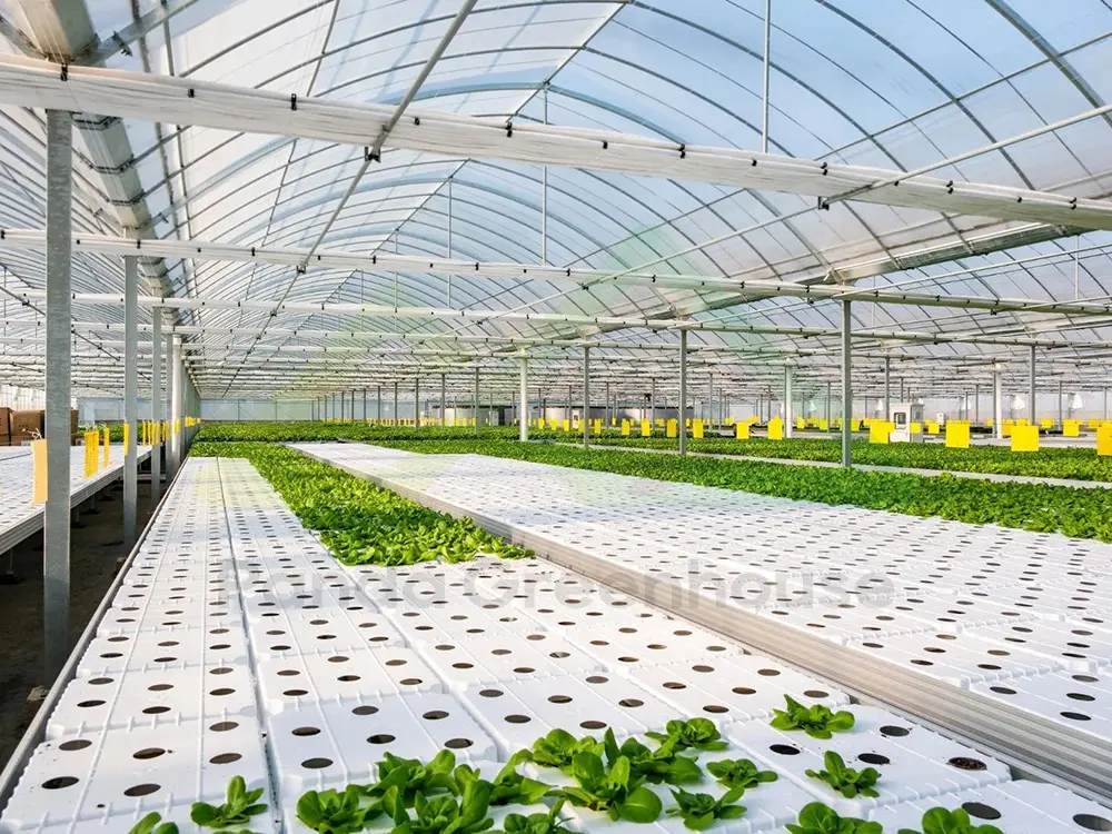 Greenhouse Hydroponic NFT/DWC System for Plant Growing with Rolling Benches 4