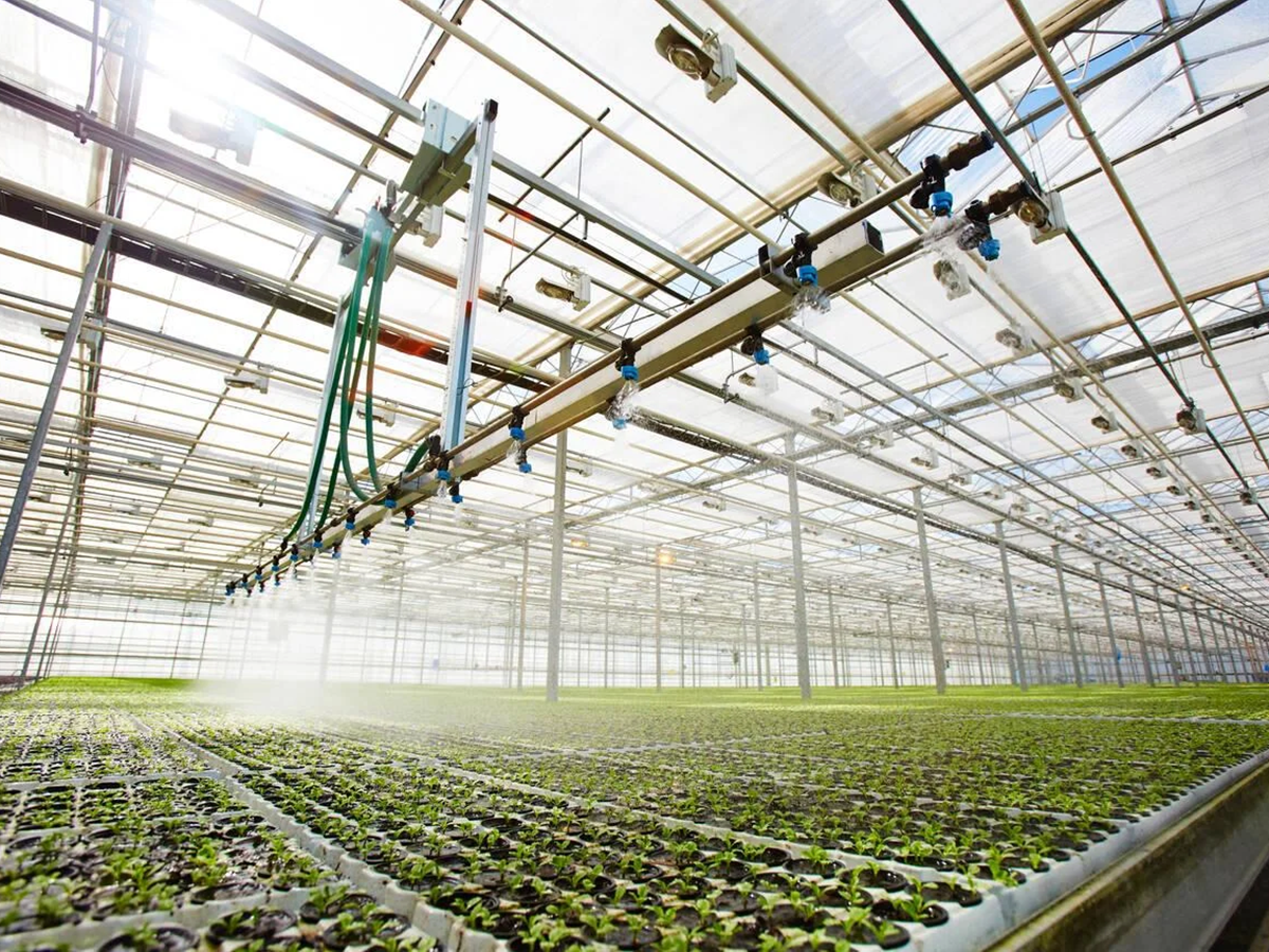 greenhouse system (2)