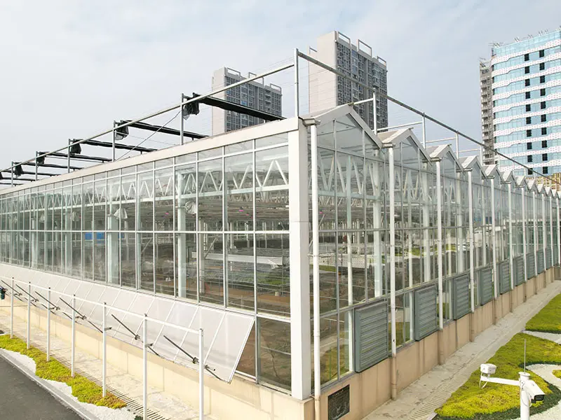 Greenhouse