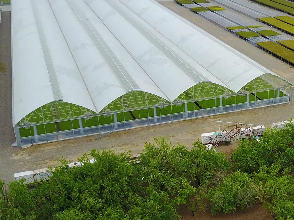 Gothic type greenhouse (5)