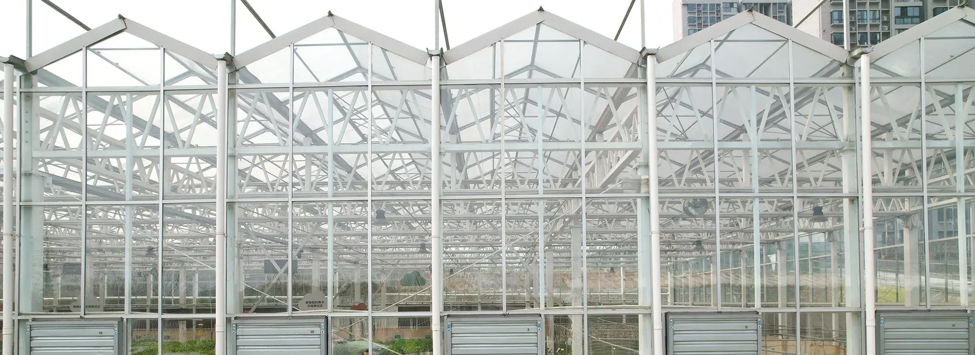 Glass Greenhouse