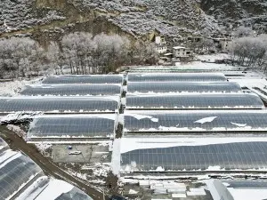 High strength, large-span tunnel greenhouse sui...