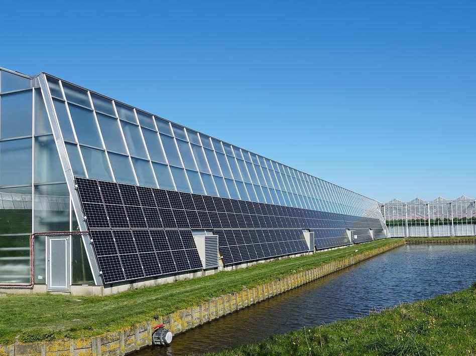 panda solar greenhouse (3)