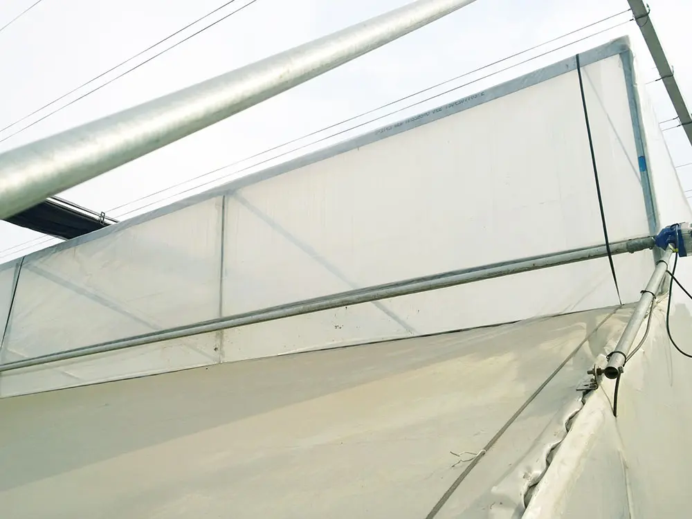 Strong Wind Resistance Low Cost Hot Sale Agricultural Commercial Plastic Greenhouse 5