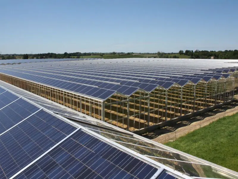 Multi-Span Venlo Agriculture Green House Metal Frame Glass Greenhouse With Solar Panels 5