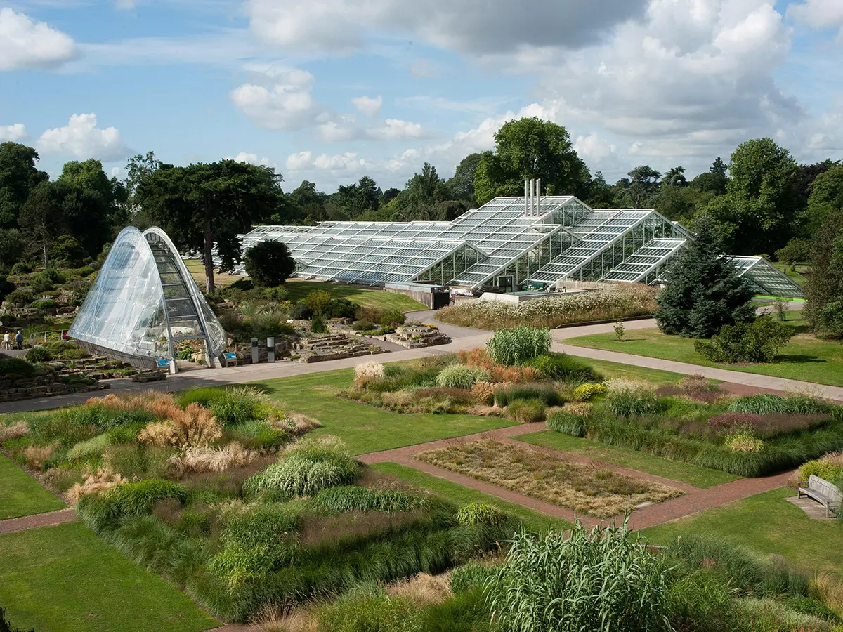 Some Differences Between Heavy Duty Commercial Greenhouses and Light Commercial Greenhouses