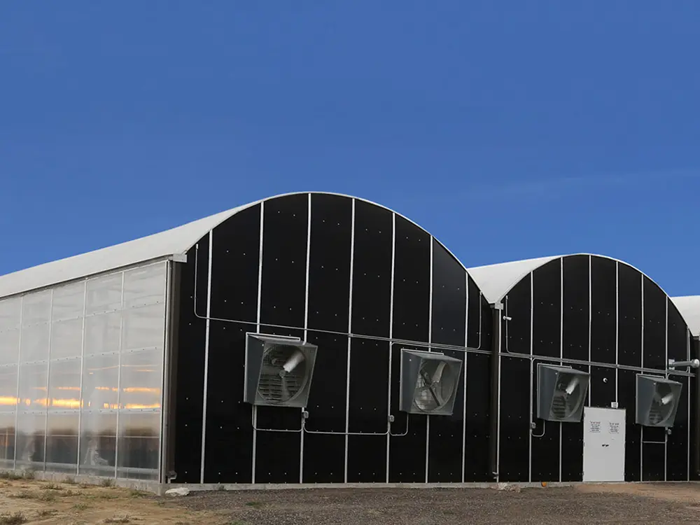 blackout greenhouse (54)