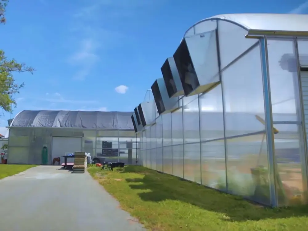 Hydroponic subsystems aquaponics fish farms equipment and plant growth greenhouse commercial aquaponics system 6