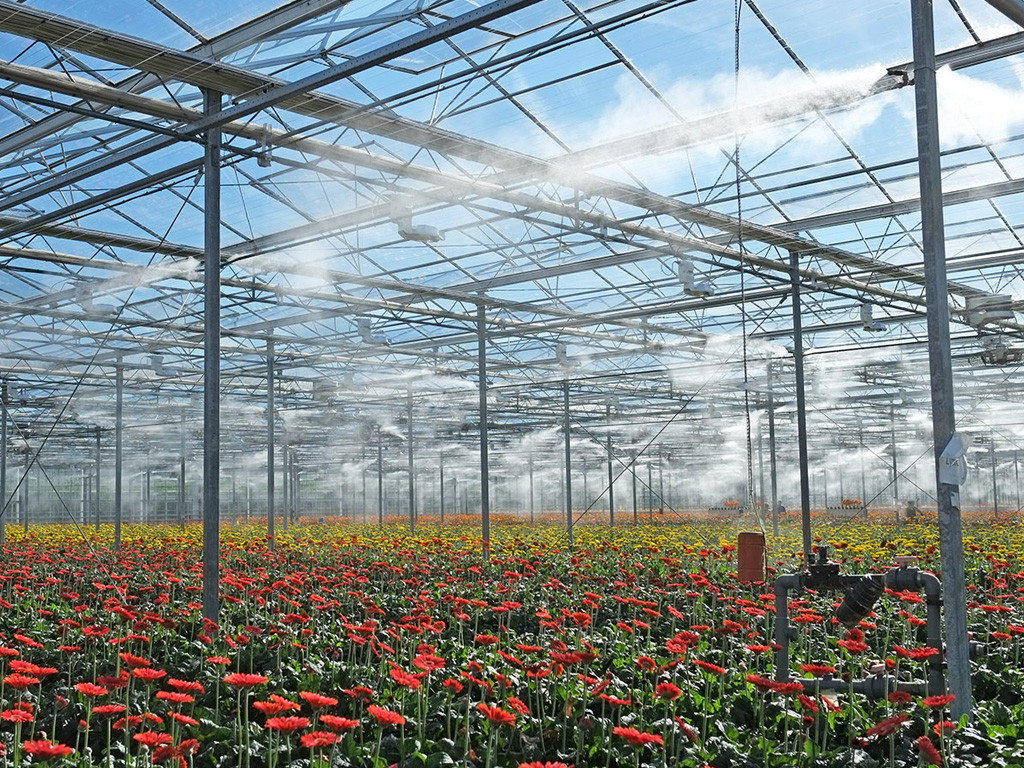 Greenhouse fog systems (1)