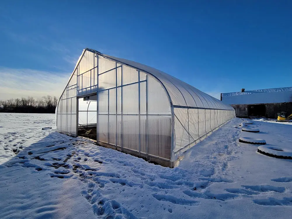tunnel greenhouse 27 (1)