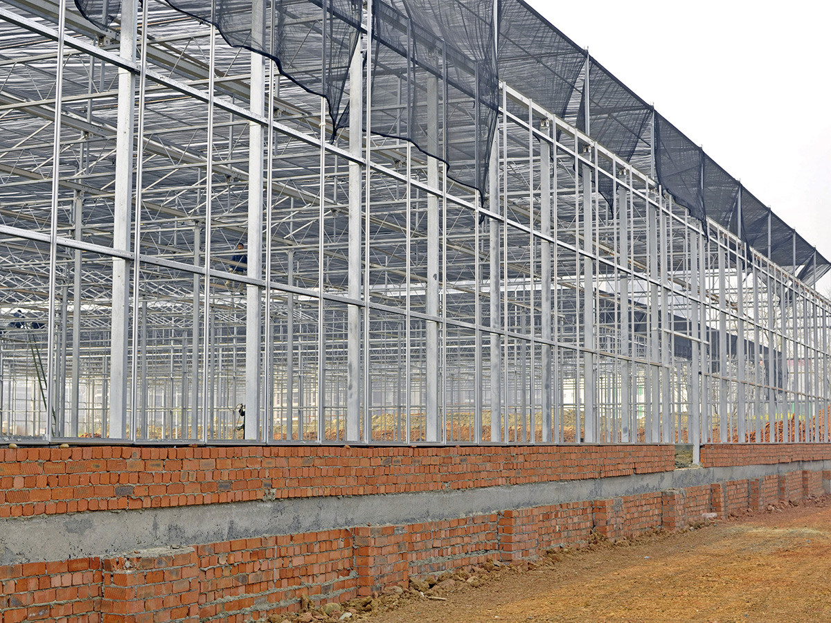 main structure(1)