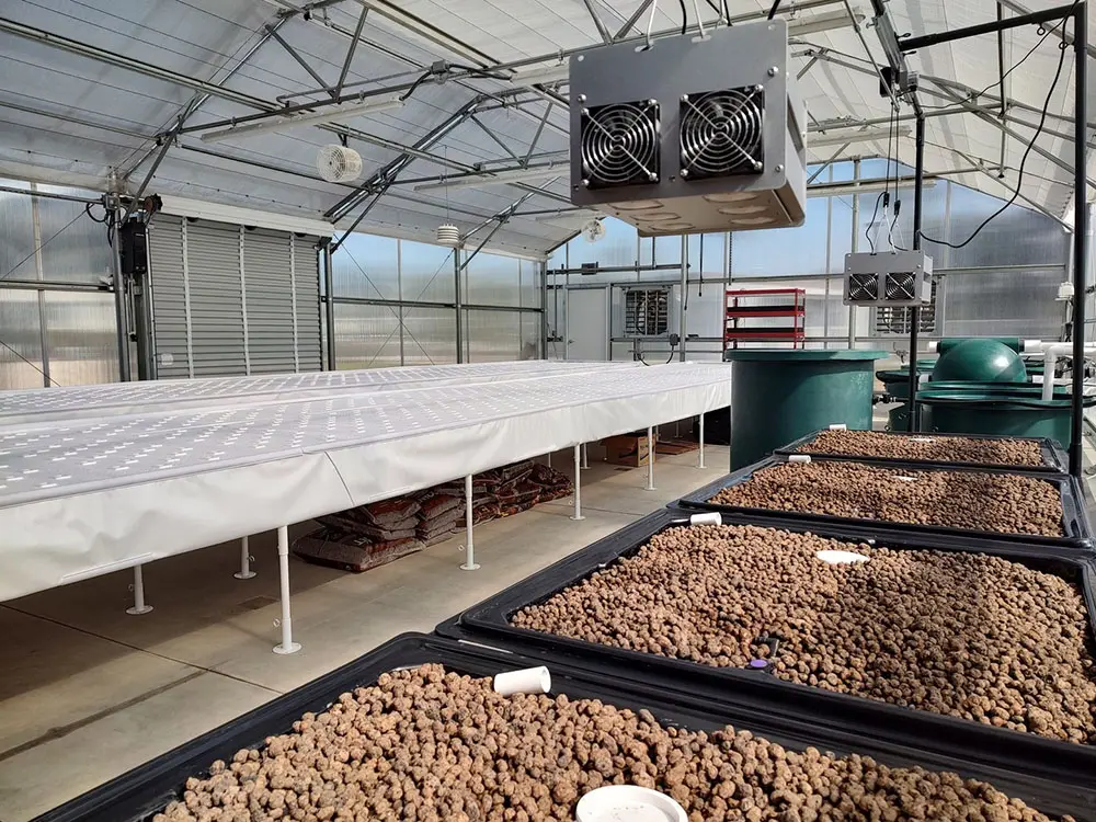 Aquaponics3 (4)
