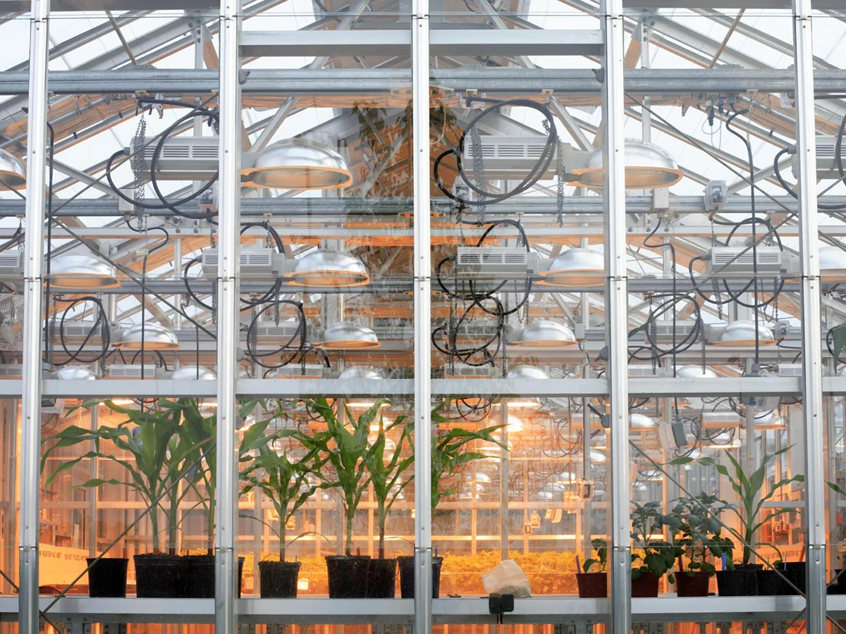 greenhouse system (1)